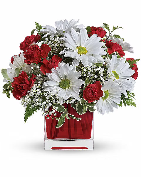 Bouquet of red and white flowers in a clear vase on a white background