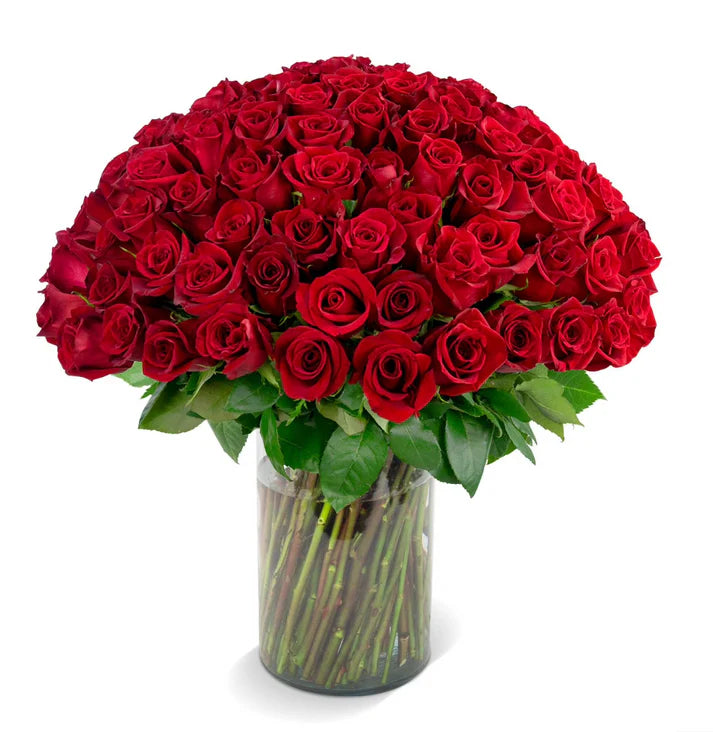 100 Red Roses (Vase)