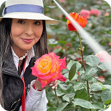 naperville florist