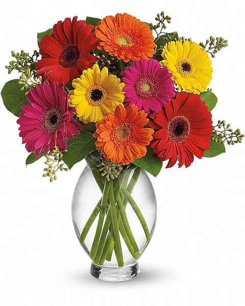 Teleflora's Gerbera Brights