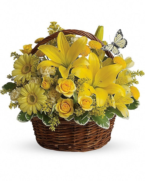 yellow flowers